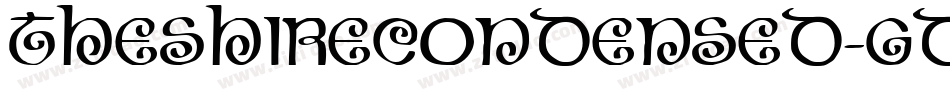 TheShireCondensed-gdqY字体转换 TheShireCondensed-gdqY字体转换