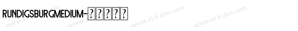 RundigsburgMedium字体转换