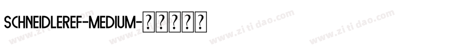 SchneidlerEF-Medium字体转换