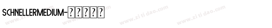 SchnellerMedium字体转换