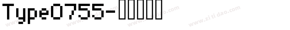 Type0755字体转换
