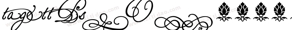tagettP2_U字体转换