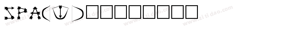 SPACWD__字体转换