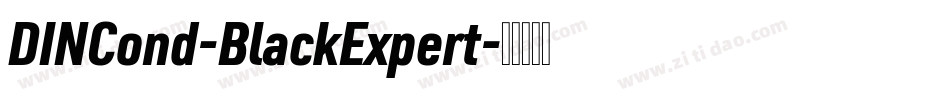 DINCond-BlackExpert字体转换