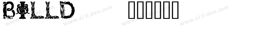 BILLD___字体转换