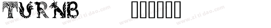 TURNB___字体转换