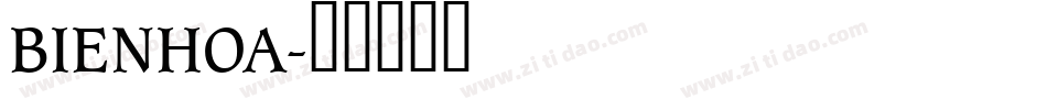 BIENHOA字体转换