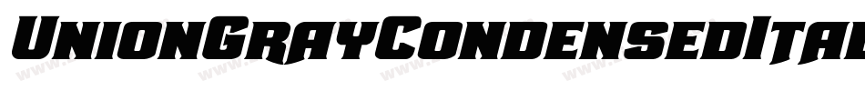 UnionGrayCondensedItalic-Dvj1字体转换