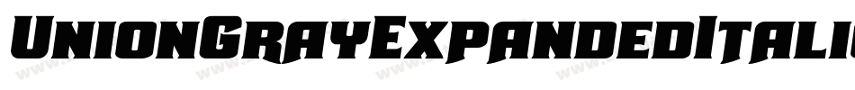 UnionGrayExpandedItalic-GmjD字体转换