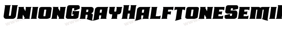 UnionGrayHalftoneSemiItalic-6qPD字体转换