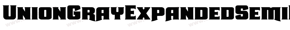 UnionGrayExpandedSemiItalic-jwMM字体转换 UnionGrayExpandedSemiItalic-jwMM字体转换