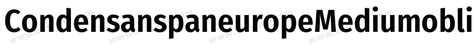 CondensanspaneuropeMediumoblique-vRzy字体转换