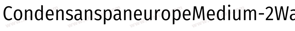 CondensanspaneuropeMedium-2Wa3字体转换