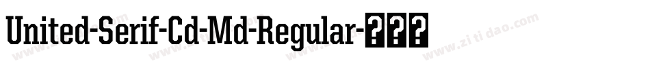 United-Serif-Cd-Md-Regular字体转换