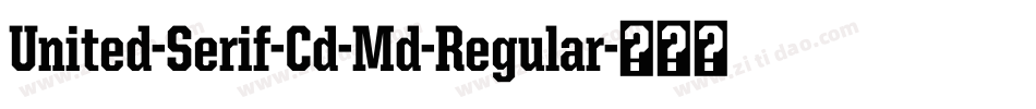United-Serif-Cd-Md-Regular字体转换