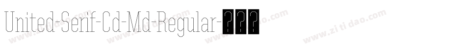 United-Serif-Cd-Md-Regular字体转换