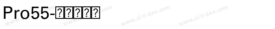 Pro55字体转换