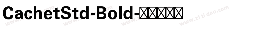 CachetStd-Bold字体转换