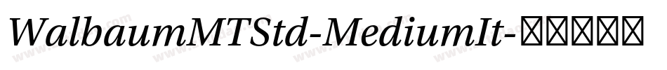 WalbaumMTStd-MediumIt字体转换