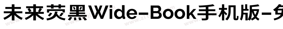 未来荧黑Wide-Book手机版字体转换