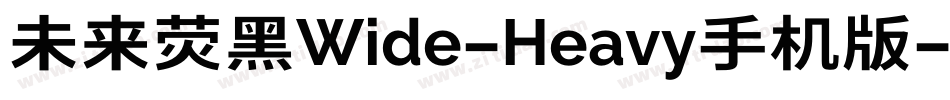 未来荧黑Wide-Heavy手机版字体转换