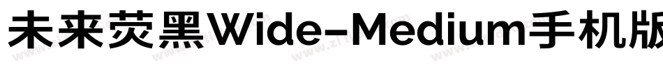 未来荧黑Wide-Medium手机版字体转换