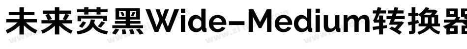 未来荧黑Wide-Medium转换器字体转换