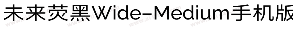 未来荧黑Wide-Medium手机版字体转换