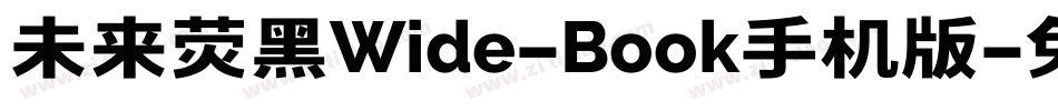 未来荧黑Wide-Book手机版字体转换