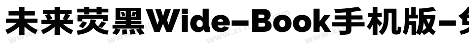 未来荧黑Wide-Book手机版字体转换