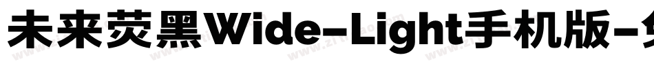 未来荧黑Wide-Light手机版字体转换
