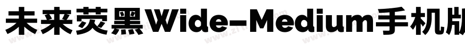 未来荧黑Wide-Medium手机版字体转换