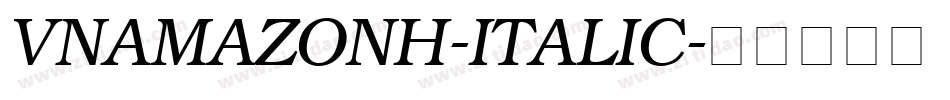 VNAmazonH-Italic字体转换