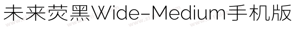未来荧黑Wide-Medium手机版字体转换