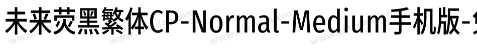 未来荧黑繁体CP-Normal-Medium手机版字体转换