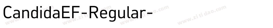 CandidaEF-Regular字体转换