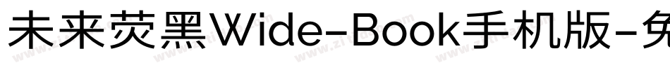 未来荧黑Wide-Book手机版字体转换