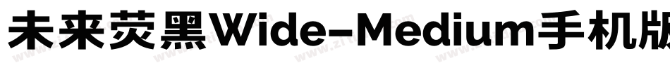 未来荧黑Wide-Medium手机版字体转换