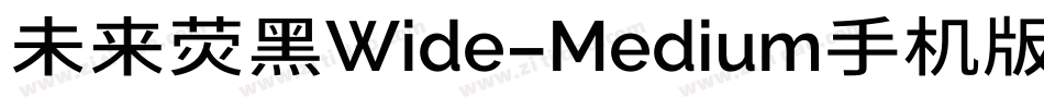 未来荧黑Wide-Medium手机版字体转换