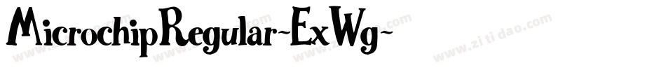 MicrochipRegular-ExWg字体转换