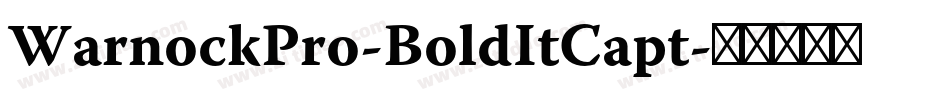 WarnockPro-BoldItCapt字体转换