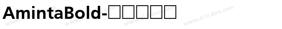 AmintaBold字体转换