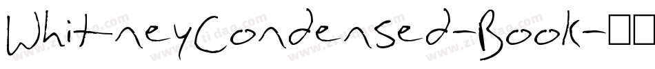 WhitneyCondensed-Book字体转换