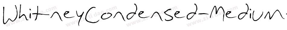 WhitneyCondensed-Medium字体转换