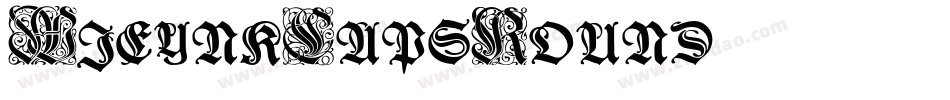 WieynkCapsRound字体转换