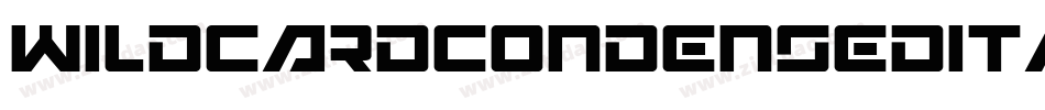 WildcardCondensedItalic-63dA字体转换