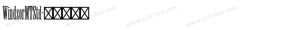 WindsorMTStd字体转换