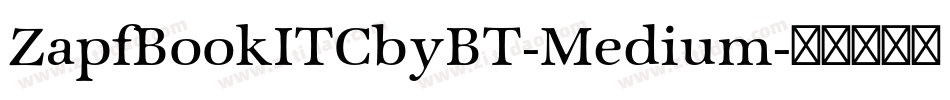 ZapfBookITCbyBT-Medium字体转换