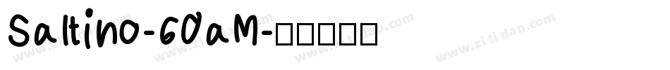 Saltino-60aM字体转换