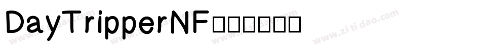 DayTripperNF字体转换